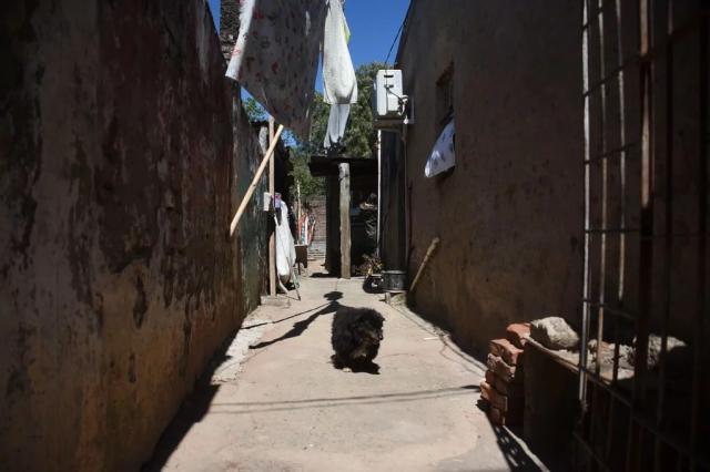 1667606959049093460.jpg 1667606959049093460.jpg